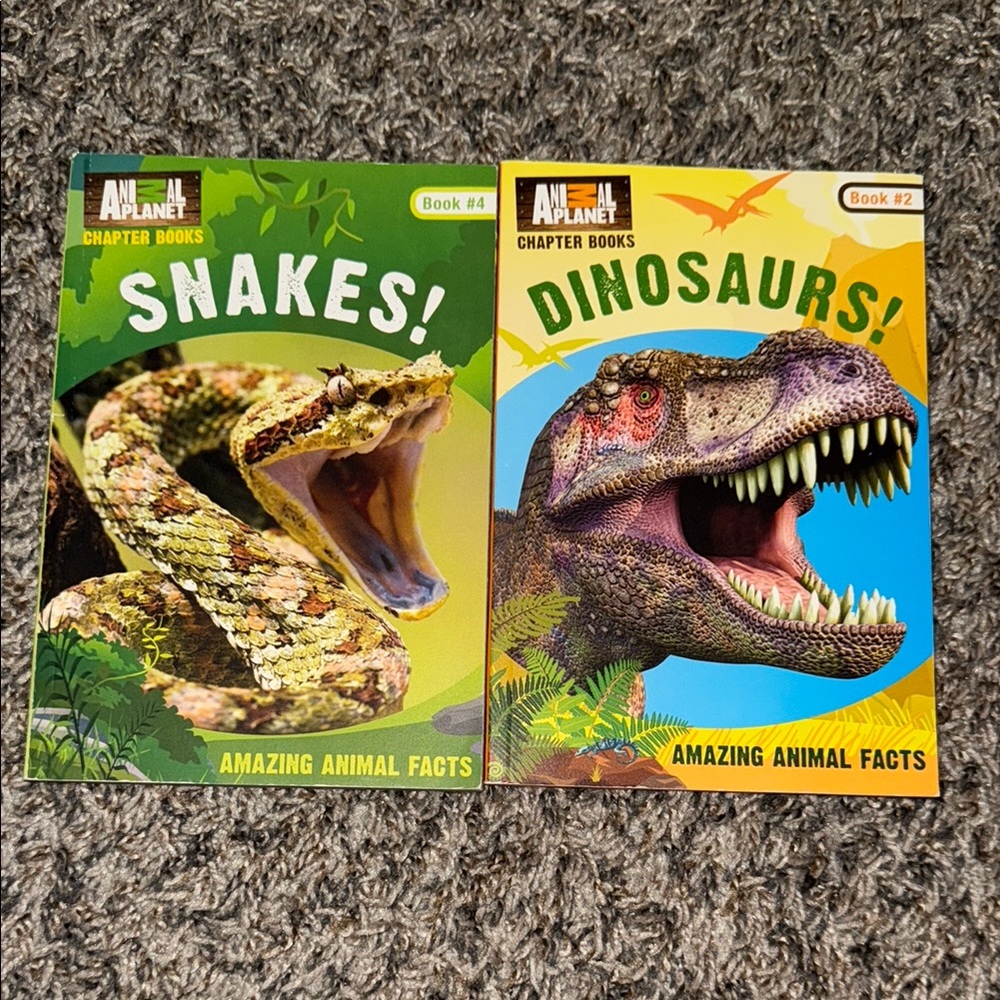 Reptile Book Set - Snakes & Dinosaurs